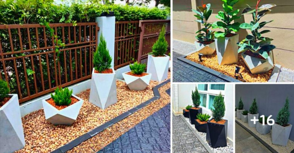 16 ideas of concrete planters to beautify the exterior of your house