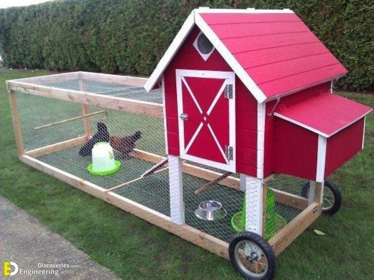 30 Ideas for Having Chickens in Your Backyard Crafty Daily