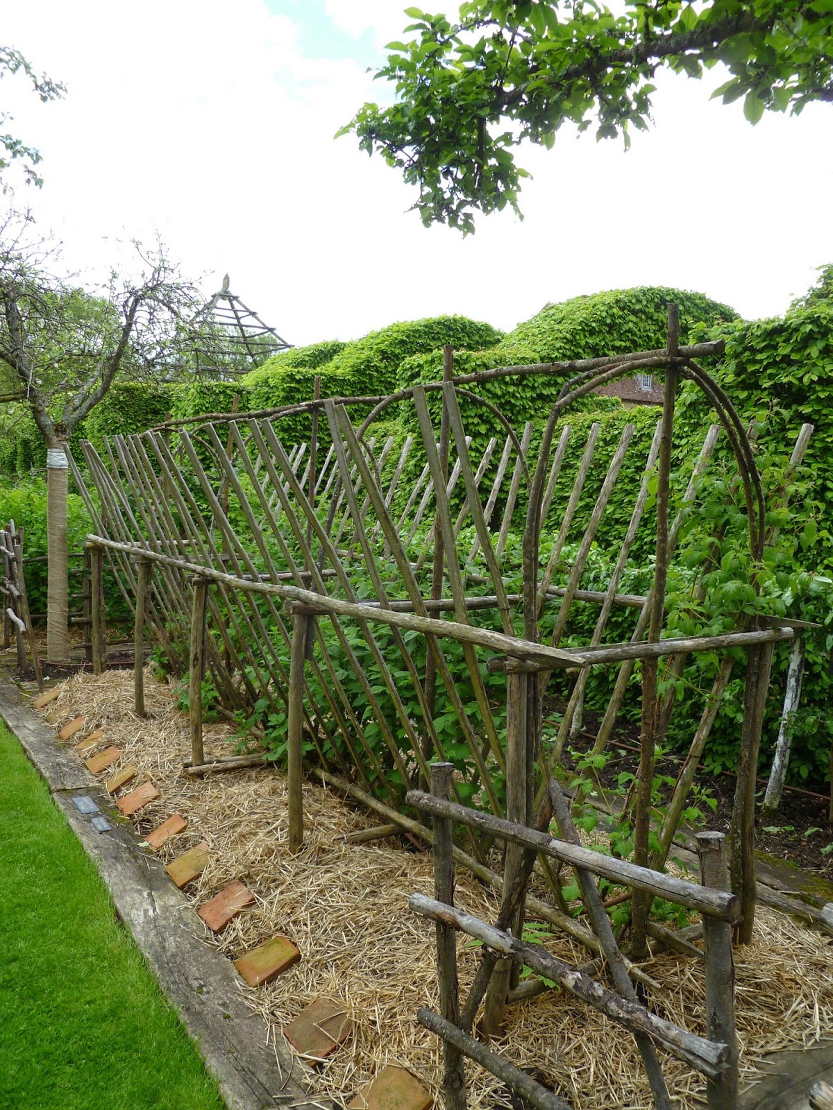 41 Easy DIY Garden Trellis Ideas & Plant Structures – Crafty Daily