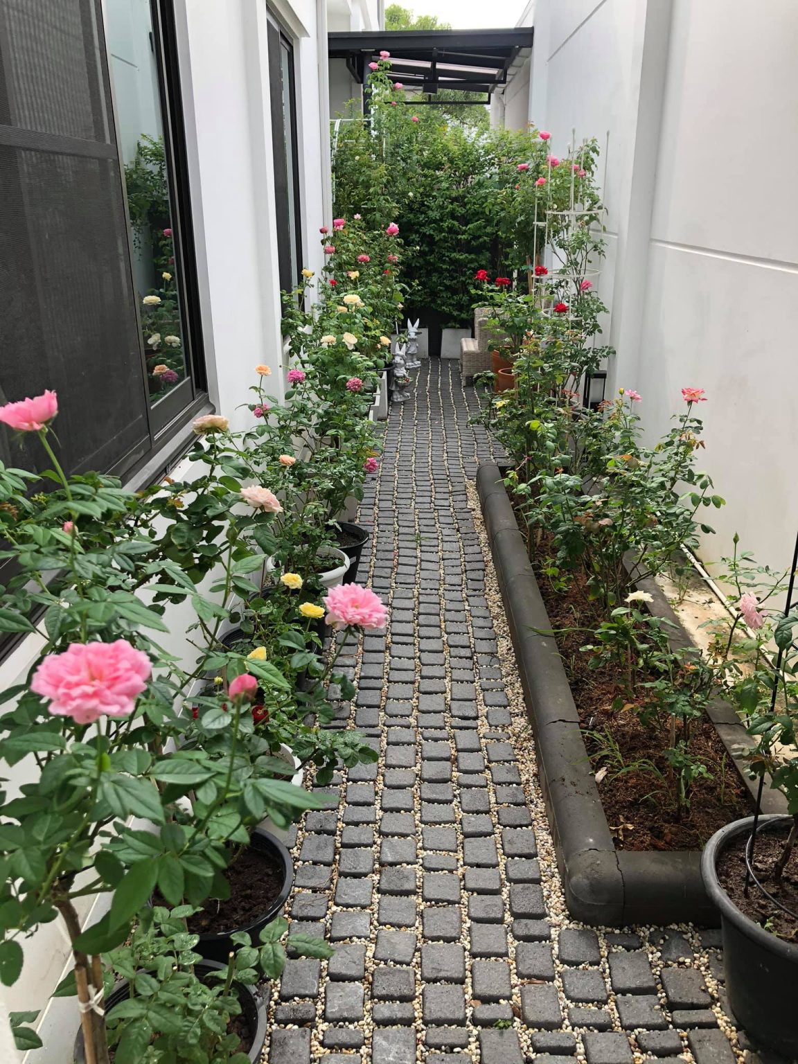 30 Stunning “Rose Garden” Ideas for Your Backyard Crafty Daily