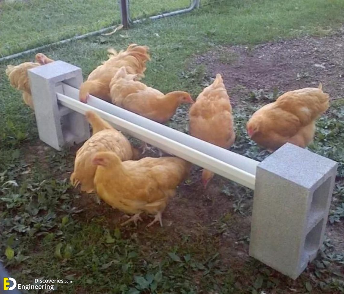 Diy Chicken Feeder Ideas You Can Try This Weekend Crafty Daily