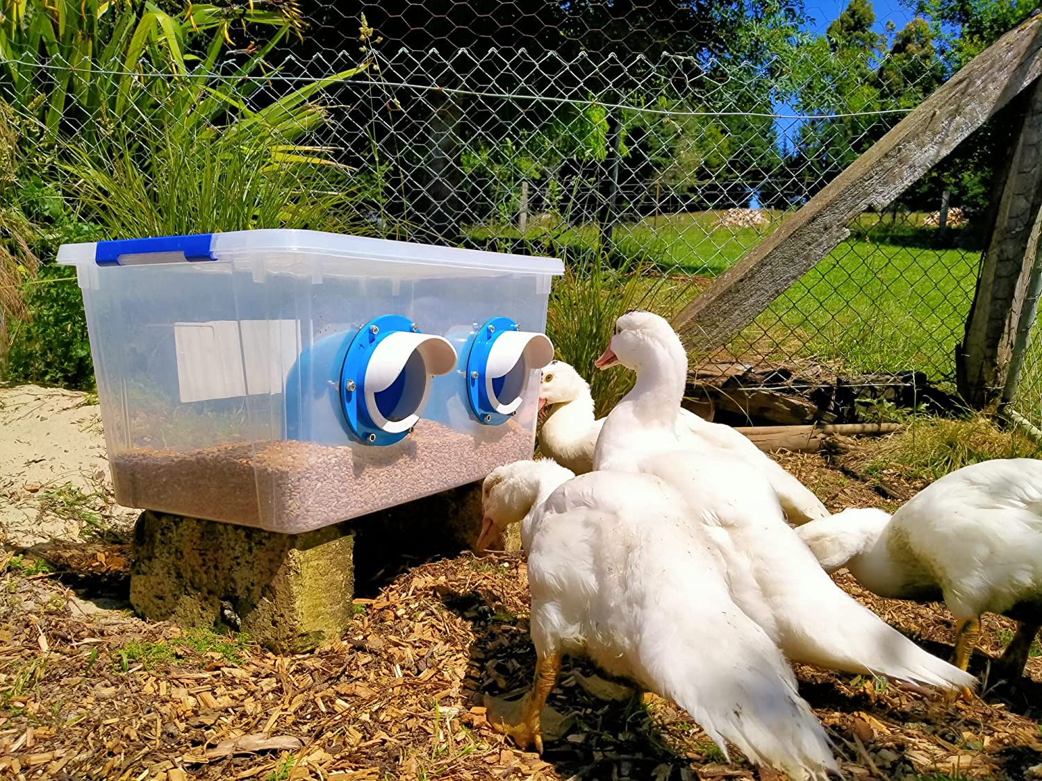 41 DIY Chicken Feeder Ideas You Can Try This Weekend Crafty Daily