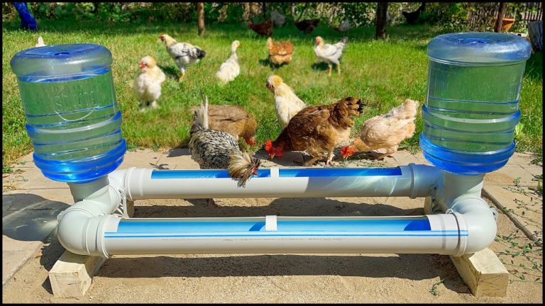 41 DIY Chicken Feeder Ideas You Can Try This Weekend – Crafty Daily